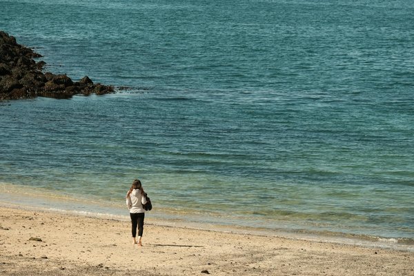 Descubra como a dieta plant-based pode impulsionar a perda de peso e melhorar sua sa∫de!