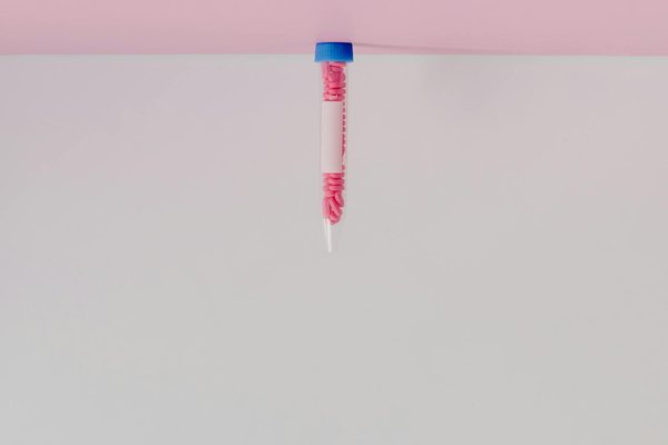 Descubra como alimentos abundantes em fibras podem transformar a sa∫de do seu intestino